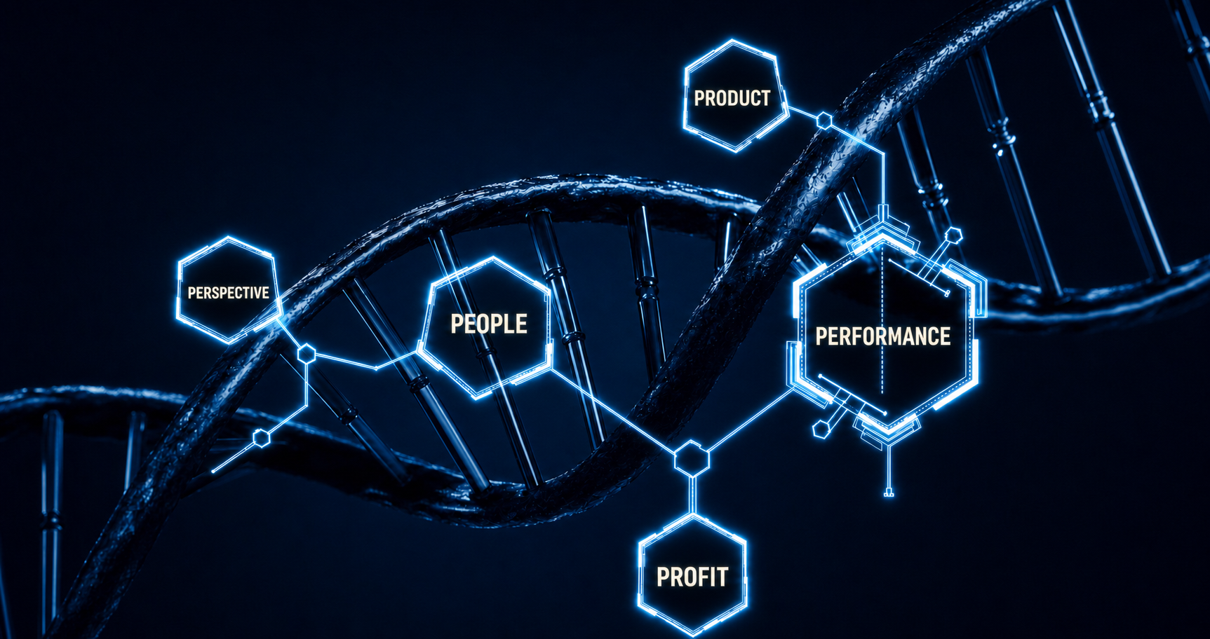 What Is ‘The Framework’?